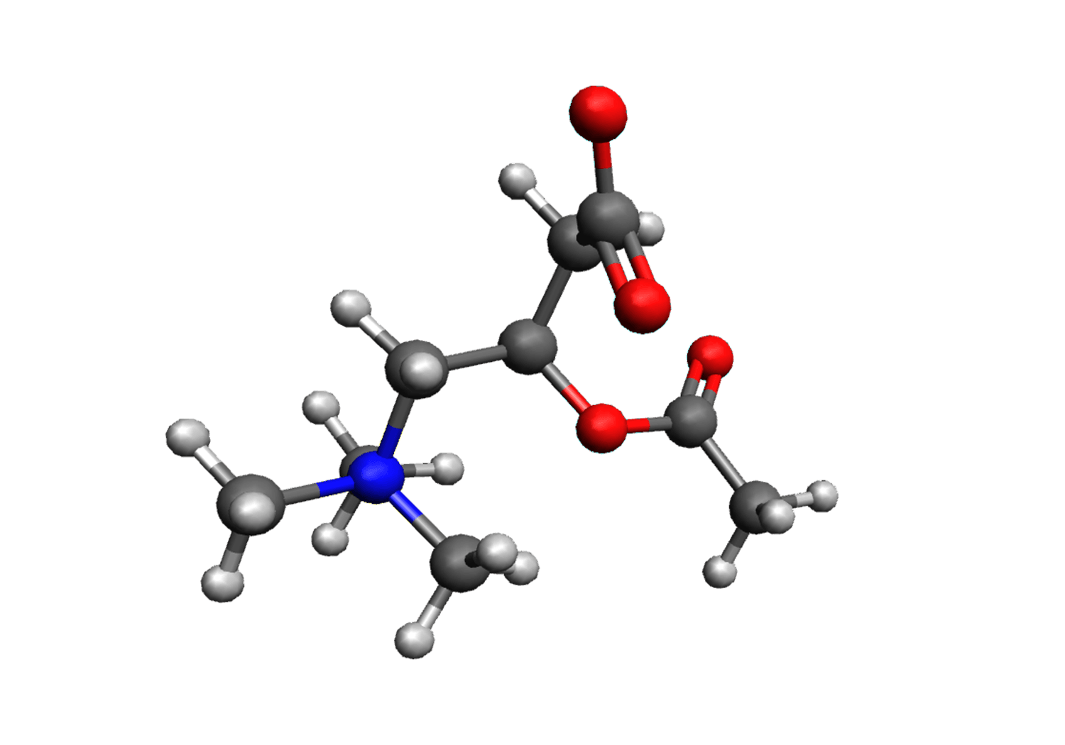ALCAR (Acetyl L-Carnitine HCL)