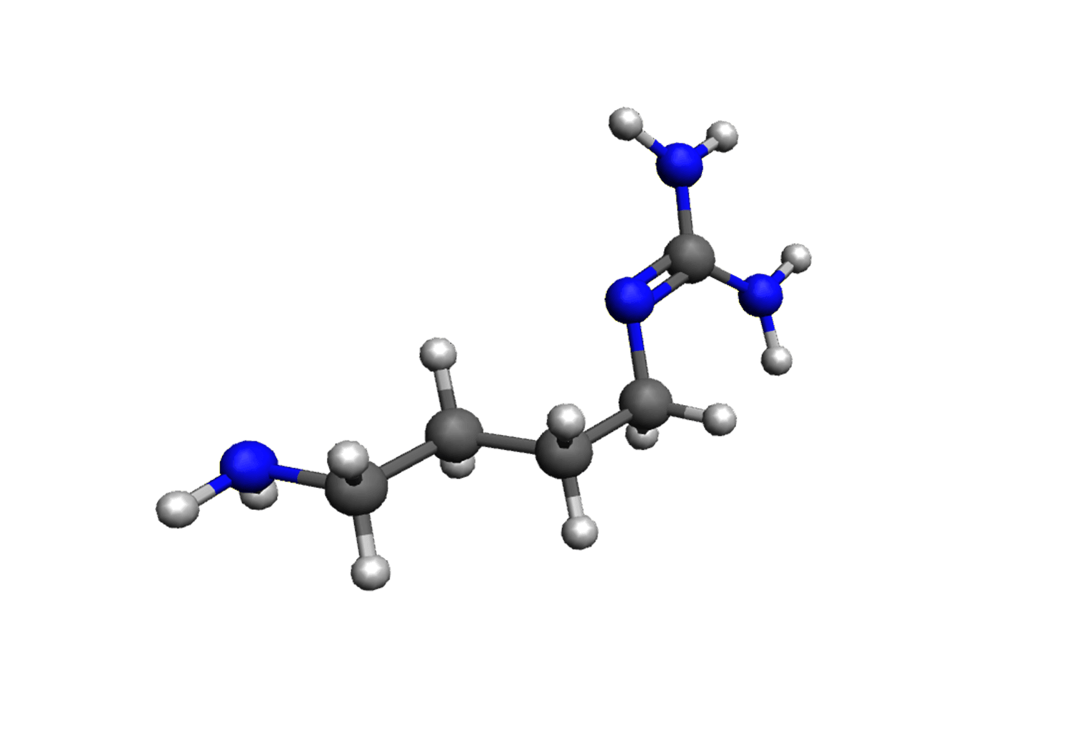 Agmatine Sulfate