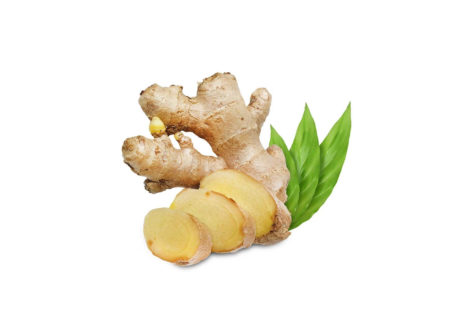 Ginger Extract