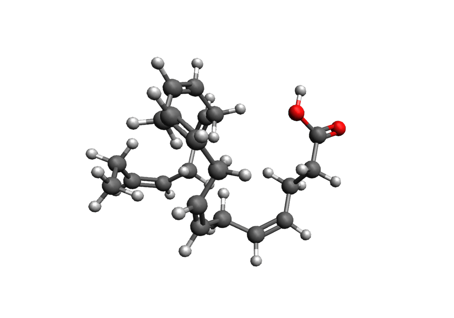 Omega 3 Fatty Acids