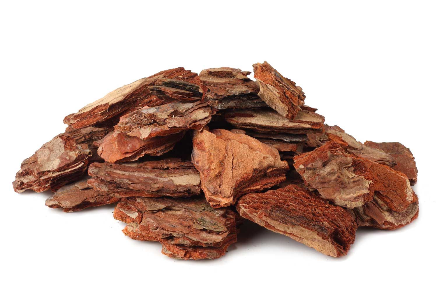Pine Bark Extract