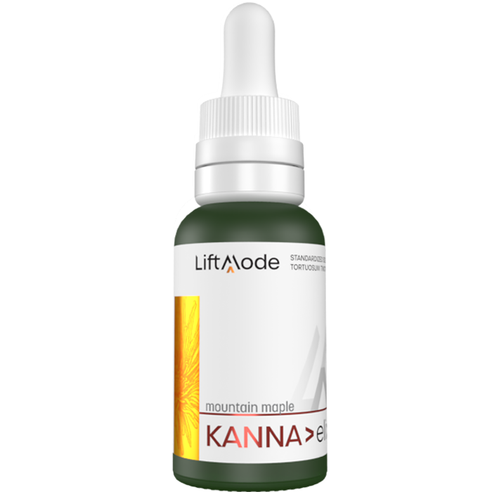 Kanna Elixir - Mountain Maple Flavor