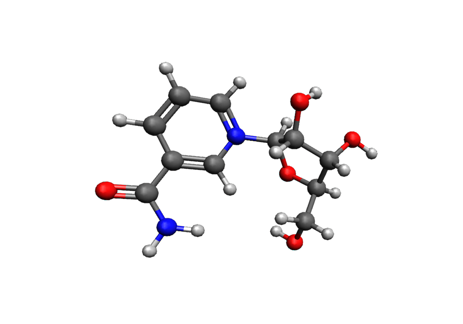 NR (Nicotinamide Riboside)