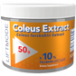 Coleus forskohlii Extract Powder